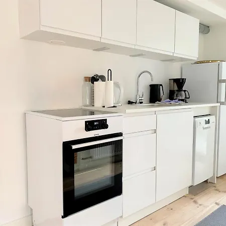 Spacious 1-bedroom In Christianshavn Apartament